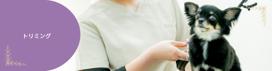 トリミング