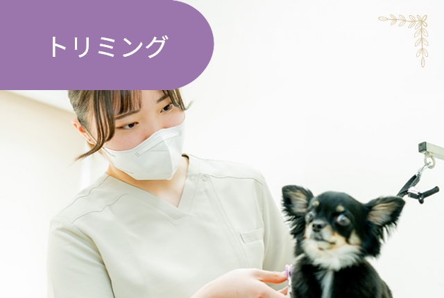 トリミング