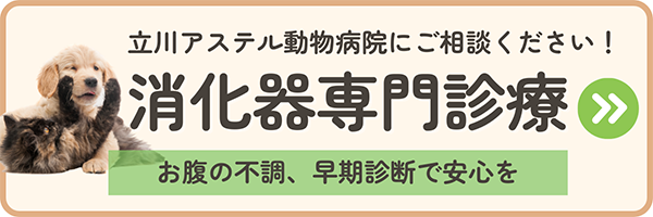消化器専門診療