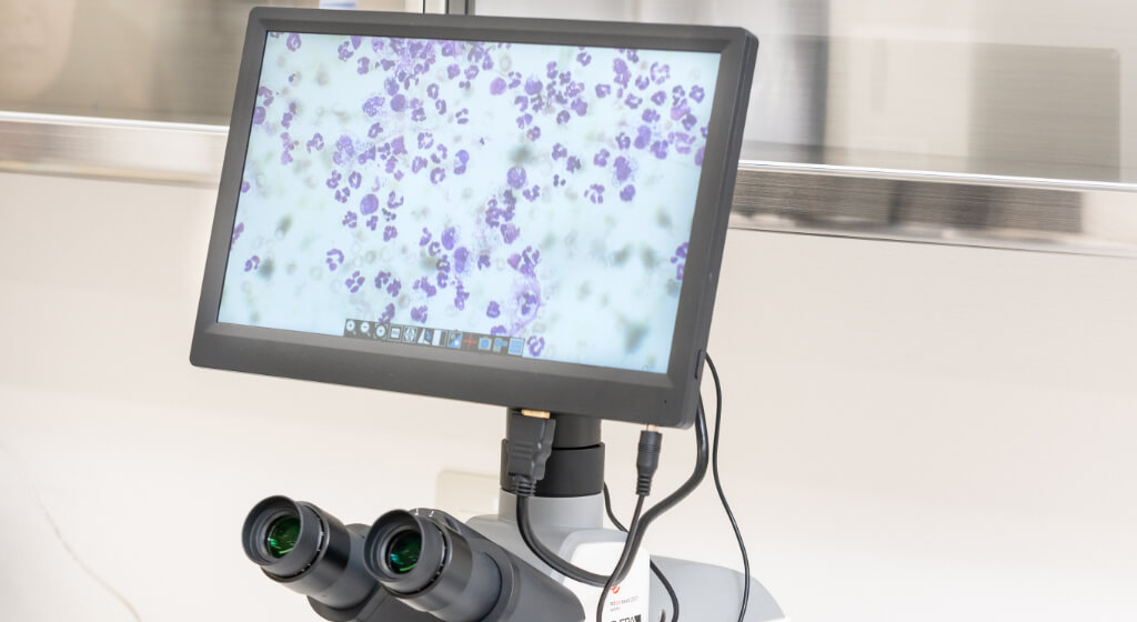 モニター付きデジタル顕微鏡