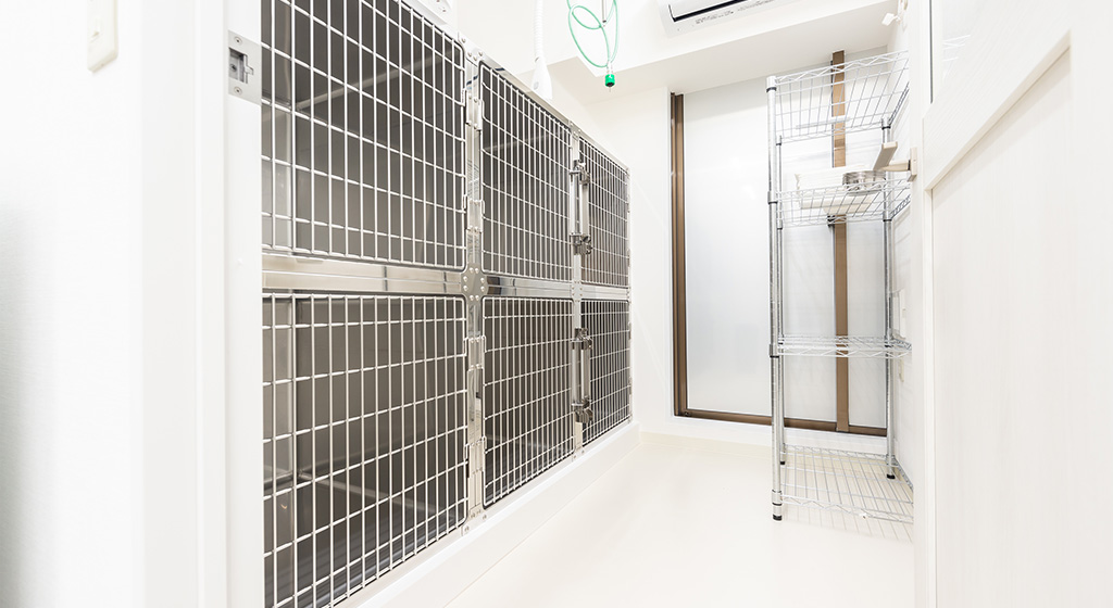 猫の入院室