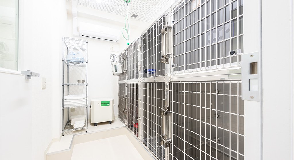 犬の入院室