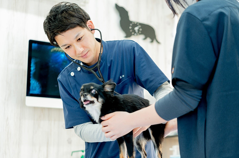 青い服を着たスタッフらしき男性が犬を抱きかかえてどこかへ移動させようとしている様子