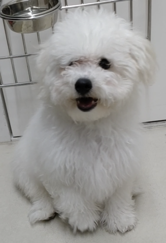 おすわりもできるよ！