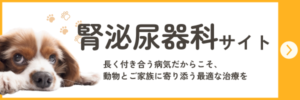 腎泌尿器科サイト 長く付き合う病気だからこそ、動物とご家族に寄り添う最適な治療を