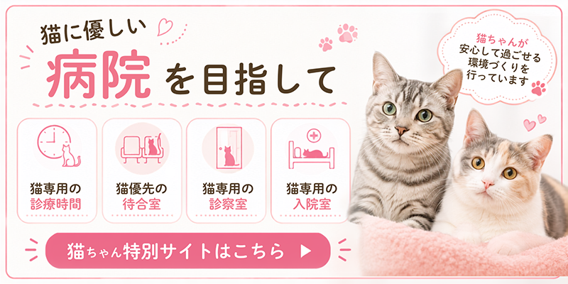 猫に優しい病院を目指して