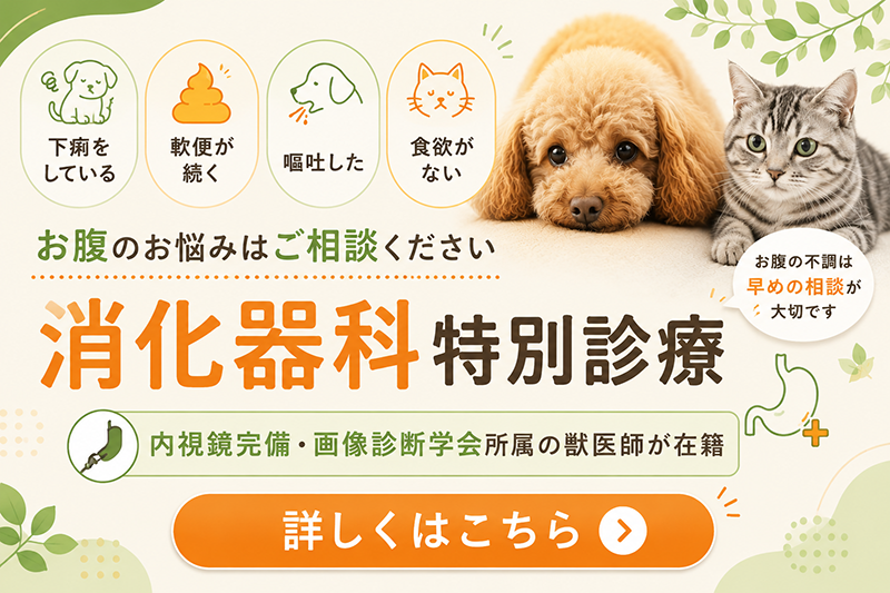 消化器専門診療