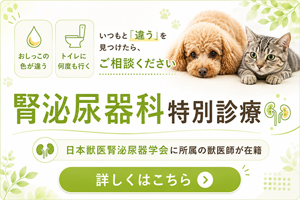腎泌尿器科サイト 長く付き合う病気だからこそ、動物とご家族に寄り添う最適な治療を